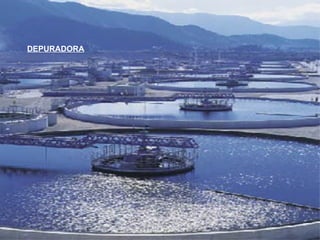 DEPURADORA