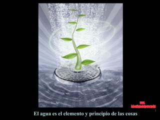 El agua es el elemento y principio de las cosas .  www. laboutiquedelpowerpoint. com 