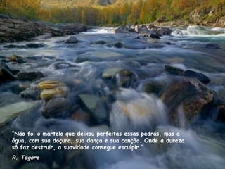 “ Não foi o martelo que deixou perfeitas essas pedras, mas a água, com sua doçura, sua dança e sua canção. Onde a dureza só faz destruir, a suavidade consegue esculpir.” R. Tagore 
