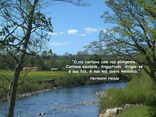 “ O rio cantava com voz plangente. Cantava saudade. Angustiado, dirigia-se à sua foz, e sua voz soava melódica.” Hermann Hesse 