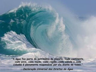 “ A água faz parte do patrimônio do planeta. Cada continente, cada povo, cada nação, cada região, cada cidade e cada cidadão é plenamente responsável por ela diante de todos.” Declaração Universal dos Direitos da Água 