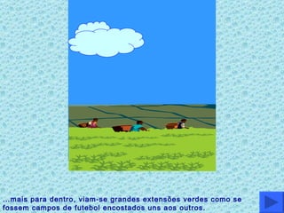 … mais para dentro, viam-se grandes extensões verdes como se fossem campos de futebol encostados uns aos outros. 