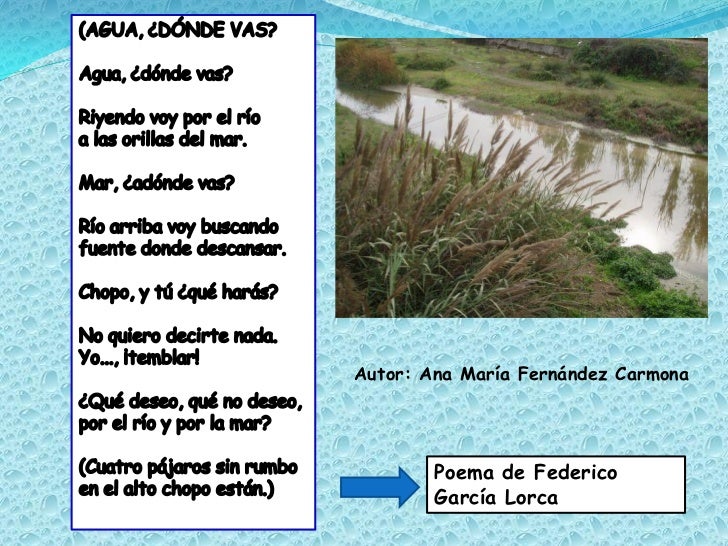 AGUA, ¿DÓNDE VAS? AGUA, ¿DÓNDE VAS?