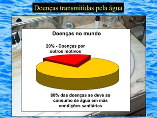 Doenças transmitidas pela água


      Doenças no mundo

    20% - Doenças por
      outros motivos




      80% das doenças se deve ao
       consumo de água em más
         condições sanitárias

                        Fonte: ONU – Ano Internacional da Água Doce, 2003
 