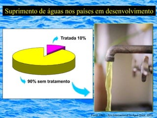 Suprimento de águas nos países em desenvolvimento


                     Tratada 10%




       90% sem tratamento




                                   Fonte: ONU – Ano Internacional da Água Doce, 2003
 