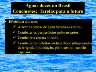 Águas doces no Brasil
    Conclusões: Tarefas para o futuro

• Eficiência dos usos
     Atacar as perdas de água tratada nas redes;
     Combater os desperdícios pelos usuários;
     Combater a erosão do solo;
     Combater os métodos ineficientes e ultrapassados
        de irrigação (inundação, pivot central, canhão
        aspersor).



                 Fonte: Águas Doces no Brasil, Aldo Rebouças, Benedito Braga, José Galizia Tundisi
 