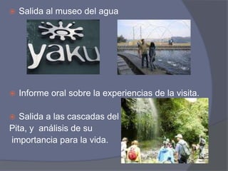Informe oral sobre la experiencias de la visita.