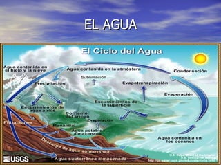 EL AGUA 