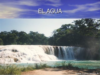 EL AGUA 