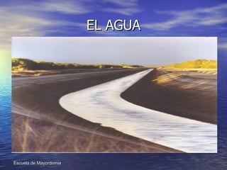 EL AGUA 