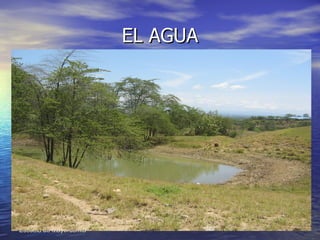 EL AGUA 