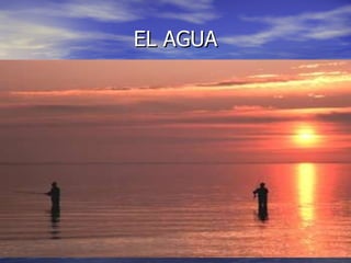 EL AGUA 