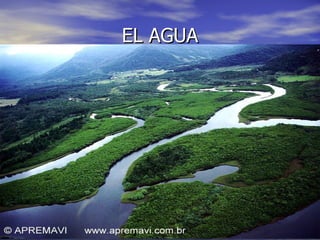 EL AGUA 