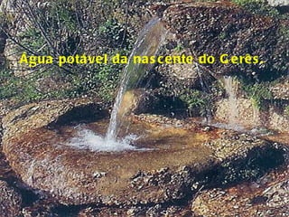 Água potável da nascente do Gerês. 
