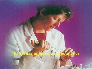 São feitas análises em laboratórios 