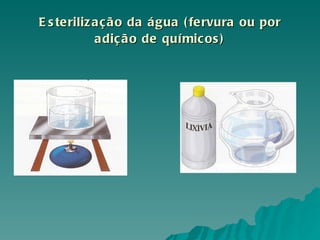 Esterilização da água (fervura ou por adição de químicos) 