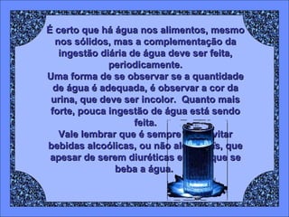 É certo que há água nos alimentos, mesmo nos sólidos, mas a complementação da ingestão diária de água deve ser feita, periodicamente. Uma forma de se observar se a quantidade de água é adequada, é observar a cor da urina, que deve ser incolor.  Quanto mais forte, pouca ingestão de água está sendo feita. Vale lembrar que é sempre bom evitar bebidas alcoólicas, ou não alcoólicas, que apesar de serem diuréticas evitam que se beba a água.  