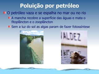 Poluição por petróleo O petróleo vaza e se espalha no mar ou no rio A mancha recobre a superfície das águas e mata o fitoplâncton e o zooplâncton Sem a luz do sol as algas param de fazer fotossíntese 