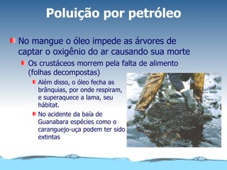 Poluição por petróleo No mangue o óleo impede as árvores de captar o oxigênio do ar causando sua morte Os crustáceos morrem pela falta de alimento (folhas decompostas) Além disso, o óleo fecha as brânquias, por onde respiram, e superaquece a lama, seu hábitat. No acidente da baía de Guanabara espécies como o caranguejo-uça podem ter sido extintas 