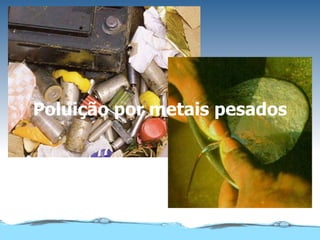 Poluição por metais pesados 