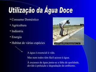 Utilização da Água Doce Consumo Doméstico Agricultura  Indústria Energia Habitat de várias espécies A água é essencial à vida. Mas nem todos têm fácil acesso à água. À escassez de água junta-se a falta de qualidade, devido à poluição e degradação do ambiente. 