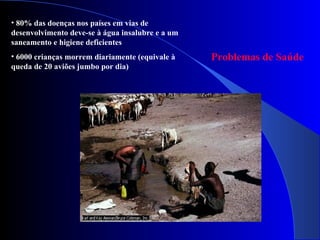 80% das doenças nos países em vias de desenvolvimento deve-se à água insalubre e a um saneamento e higiene deficientes 6000 crianças morrem diariamente (equivale à queda de 20 aviões jumbo por dia) Problemas de Saúde 