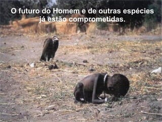 O futuro do Homem e de outras espécies já estão comprometidas. 