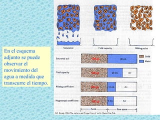 En el esquema
adjunto se puede
observar el
movimiento del
agua a medida que
transcurre el tiempo.
 