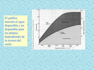 El gráfico
muestra el agua
disponible y no
disponible para
las plantas
dependiendo de
la textura del
suelo.
 