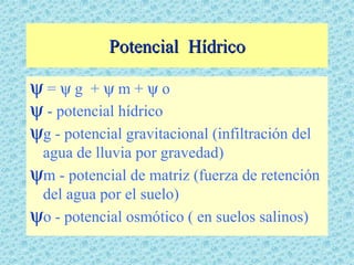 Potencial Hídrico

ψ=ψg +ψm+ψo
ψ - potencial hídrico
ψg - potencial gravitacional (infiltración del
 agua de lluvia por gravedad)
ψm - potencial de matriz (fuerza de retención
 del agua por el suelo)
ψo - potencial osmótico ( en suelos salinos)
 