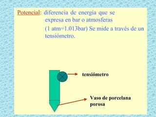 Potencial: diferencia de energía que se
           expresa en bar o atmosferas
           (1 atm=1.013bar) Se mide a través de un
           tensiómetro.




                         tensiómetro



                            Vaso de porcelana
                            porosa
 