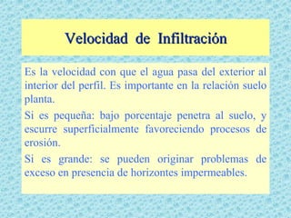 Velocidad de Infiltración

Es la velocidad con que el agua pasa del exterior al
interior del perfil. Es importante en la relación suelo
planta.
Si es pequeña: bajo porcentaje penetra al suelo, y
escurre superficialmente favoreciendo procesos de
erosión.
Si es grande: se pueden originar problemas de
exceso en presencia de horizontes impermeables.
 
