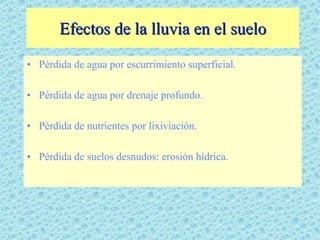 Efectos de la lluvia en el suelo
• Pérdida de agua por escurrimiento superficial.

• Pérdida de agua por drenaje profundo.

• Pérdida de nutrientes por lixiviación.

• Pérdida de suelos desnudos: erosión hídrica.
 