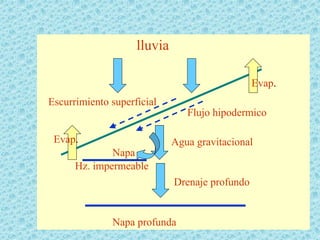 lluvia

                                                Evap.
Escurrimiento superficial
                                Flujo hipodermico

 Evap.                       Agua gravitacional
              Napa
      Hz. impermeable
                             Drenaje profundo


              Napa profunda
 