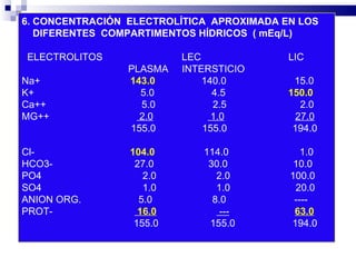 6. CONCENTRACIÓN  ELECTROLÍTICA  APROXIMADA EN LOS  DIFERENTES  COMPARTIMENTOS HÍDRICOS  ( mEq/L)   ELECTROLITOS  LEC  LIC PLASMA  INTERSTICIO  Na+  143.0   140.0  15.0 K+  5.0  4.5  150.0 Ca++  5.0  2.5  2.0 MG++  2.0   1.0   27.0 155.0  155.0  194.0 Cl‑  104.0   114.0  1.0 HCO3‑  27.0  30.0  10.0 PO4  2.0  2.0  100.0 SO4  1.0  1.0  20.0 ANION ORG.  5.0  8.0  ----  PROT‑  16.0   ---   63.0 155.0  155.0  194.0 