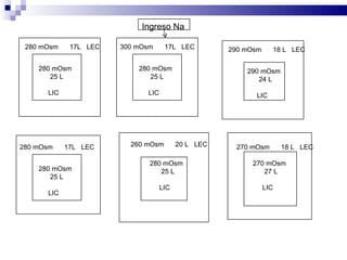 Ingreso Na 280 mOsm  17L  LEC 280 mOsm 25 L LIC 300 mOsm  17L  LEC 280 mOsm 25 L LIC 290 mOsm  18 L  LEC 290 mOsm 24 L LIC 280 mOsm  17L  LEC 280 mOsm 25 L LIC 260 mOsm  20 L  LEC 280 mOsm 25 L LIC 270 mOsm  18 L  LEC 270 mOsm 27 L LIC 