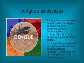 A água e as doenças A água sem tratamento ou poluída pode transmitir doenças como:o cólera,que causa a desidratação, a leptospirose,que é uma doença que pode levar à morte. Evite água limpa e parada pois pode ocasionar uma doença chamada “dengue”, transmitida por um mosquito que põe seus ovos nesta água. 