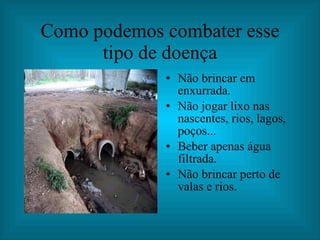Como podemos combater esse tipo de doença Não brincar em enxurrada. Não jogar lixo nas nascentes, rios, lagos, poços... Beber apenas água filtrada. Não brincar perto de valas e rios. 