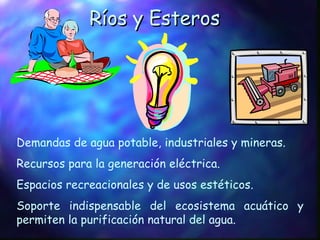 Ríos y Esteros Demandas de agua potable, industriales y mineras. Recursos para la generación eléctrica. Espacios recreacionales y de usos estéticos.  Soporte indispensable del ecosistema acuático y permiten la purificación natural del agua. 