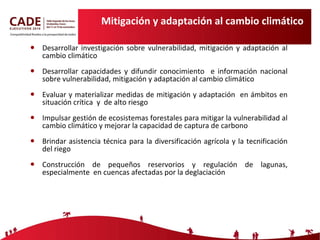 Mitigación y adaptación al cambio climático Desarrollar investigación sobre vulnerabilidad, mitigación y adaptación al cambio climático Desarrollar capacidades y difundir conocimiento  e información nacional sobre vulnerabilidad, mitigación y adaptación al cambio climático Evaluar y materializar medidas de mitigación y adaptación  en ámbitos en situación crítica  y  de alto riesgo Impulsar gestión de ecosistemas forestales para mitigar la vulnerabilidad al cambio climático y mejorar la capacidad de captura de carbono Brindar asistencia técnica para la diversificación agrícola y la tecnificación del riego Construcción de pequeños reservorios y regulación de lagunas, especialmente  en cuencas afectadas por la deglaciación 