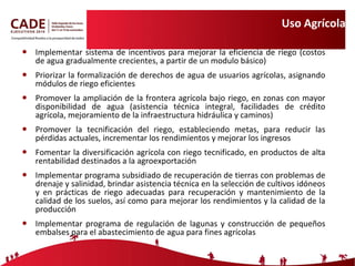 Uso Agrícola Implementar sistema de incentivos para mejorar la eficiencia de riego (costos de agua gradualmente crecientes, a partir de un modulo básico) Priorizar la formalización de derechos de agua de usuarios agrícolas, asignando módulos de riego eficientes Promover la ampliación de la frontera agrícola bajo riego, en zonas con mayor disponibilidad de agua (asistencia técnica integral, facilidades de crédito agrícola, mejoramiento de la infraestructura hidráulica y caminos) Promover la tecnificación del riego, estableciendo metas, para reducir las pérdidas actuales, incrementar los rendimientos y mejorar los ingresos Fomentar la diversificación agrícola con riego tecnificado, en productos de alta rentabilidad destinados a la agroexportación Implementar programa subsidiado de recuperación de tierras con problemas de drenaje y salinidad, brindar asistencia técnica en la selección de cultivos idóneos y en prácticas de riego adecuadas para recuperación y mantenimiento de la calidad de los suelos, así como para mejorar los rendimientos y la calidad de la producción Implementar programa de regulación de lagunas y construcción de pequeños embalses para el abastecimiento de agua para fines agrícolas 