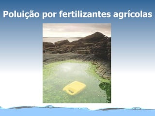Poluição por fertilizantes agrícolas 