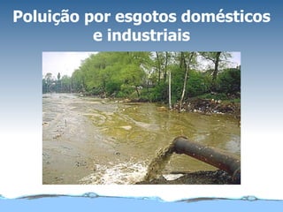 Poluição por esgotos domésticos e industriais 