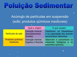 Acúmulo de partículas em suspensão
       (solo, produtos químicos insolúveis)
                       Qual a origem            O que causam
                     Extração mineral     Interferem na fotossíntese
Partículas do solo   Desmatamentos        e na capacidade dos animais
                     Erosões              encontrarem alimentos
Produtos químicos    Extração mineral     Adsorvem e concentram os
    insolúveis       Esgotos e fluentes   poluentes biológicos e os
                                          poluentes químicos
 