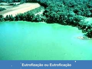Eutrofização ou Eutroficação
 