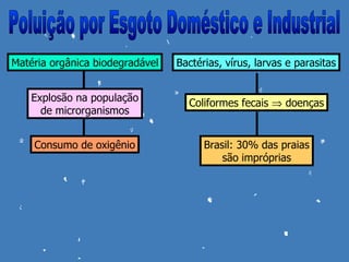 Matéria orgânica biodegradável   Bactérias, vírus, larvas e parasitas


    Explosão na população          Coliformes fecais ⇒ doenças
      de microrganismos


    Consumo de oxigênio                Brasil: 30% das praias
                                           são impróprias
 