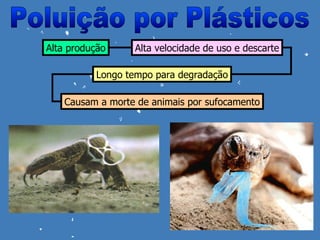 Alta produção     Alta velocidade de uso e descarte

          Longo tempo para degradação

    Causam a morte de animais por sufocamento
 
