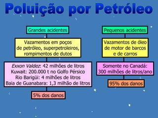 Grandes acidentes                 Pequenos acidentes

        Vazamentos em poços                 Vazamentos de óleo
     de petróleo, superpetroleiros,         de motor de barcos
        rompimentos de dutos                    e de carros

  Exxon Valdez: 42 milhões de litros        Somente no Canadá:
  Kuwait: 200.000 t no Golfo Pérsico      300 milhões de litros/ano
    Rio Barigüi: 4 milhões de litros
Baia de Guanabara: 1,3 milhão de litros        95% dos danos

            5% dos danos
 