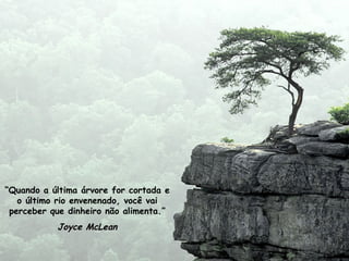 “ Quando a última árvore for cortada e o último rio envenenado, você vai perceber que dinheiro não alimenta.” Joyce McLean 