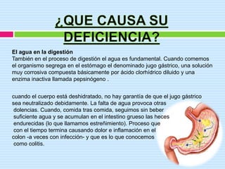 El agua en la digestión
También en el proceso de digestión el agua es fundamental. Cuando comemos
el organismo segrega en el estómago el denominado jugo gástrico, una solución
muy corrosiva compuesta básicamente por ácido clorhídrico diluido y una
enzima inactiva llamada pepsinógeno .


cuando el cuerpo está deshidratado, no hay garantía de que el jugo gástrico
sea neutralizado debidamente. La falta de agua provoca otras
 dolencias. Cuando, comida tras comida, seguimos sin beber
 suficiente agua y se acumulan en el intestino grueso las heces
 endurecidas (lo que llamamos estreñimiento). Proceso que
 con el tiempo termina causando dolor e inflamación en el
colon -a veces con infección- y que es lo que conocemos
 como colitis.
 